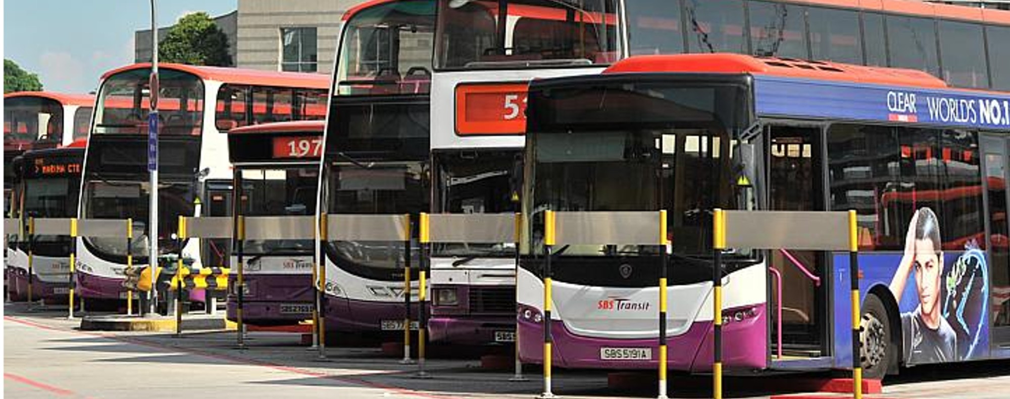 2019 year - Should shirtless men be banned from buses 2019 year
